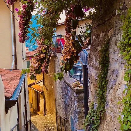 La Chiocciola Viaggiatrice